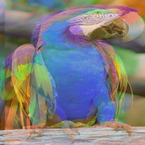 Thumbnail.